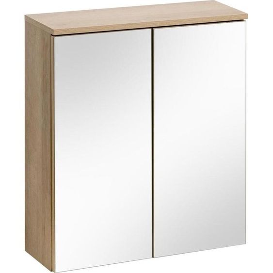 Spiegelschrank Badspiegel Hängeschrank Wandschrank Badezimmerschrank Spiegel