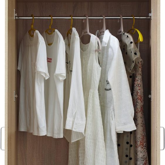 Armoire Bodolz avec 2 portes, 1 tringle, 1 compartiment inférieur Chêne Sonoma
