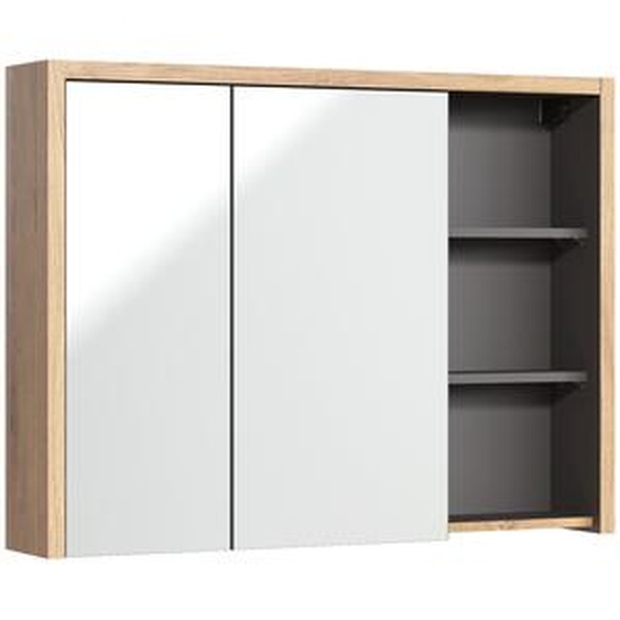 Armoire De Salle De Bain Avec Miroir 100 Cm Chêne Shetland Graphite 2 Portes