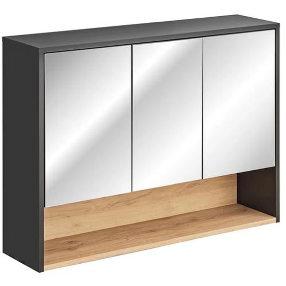 Armoire De Salle De Bain Avec Miroir 100 Cm Gris Cosmos 3 Portes