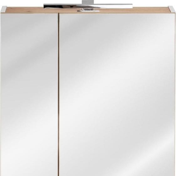 Spiegelschrank Badezimmerschrank Badspiegel 60x16x75 cm Schränke Bad Einrichtung