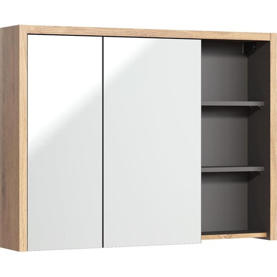 Armoire de toilette FURNLUX Devon Chêne Et Graphite Et Miroir Gris 100cm / Couleur principale : Beige / Dimensions : 100 x 75 x 18 cm