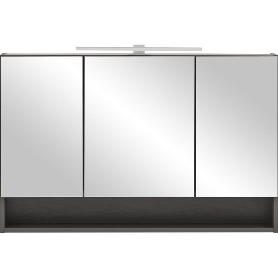 Badezimmerspiegelschrank Kaprun (B/H/T: 100x64x20 cm) in graphit