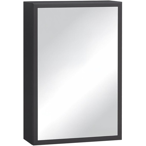 Armoire miroir - Armoire de salle de bain - Rangement - Armoire murale - Armoire à maquillage - Acier noir - 3 compartiments de rangement