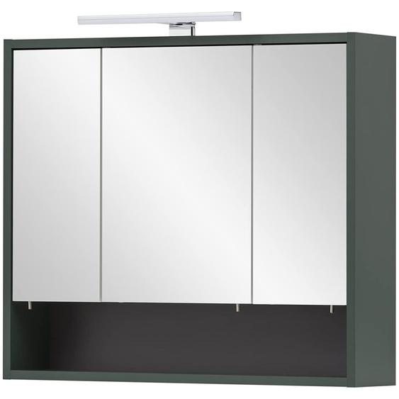 Armoire miroir de 70 x 16 x 64,2 cm, avec 3 portes, éclairage LED, 6 étagères en verre, couleur vert forêt