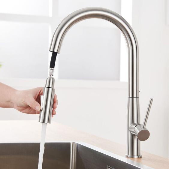 Auralum Robinet de Cuisine en Inox avec Douchette Extractible, Mitigeur Cuisine Col de cygne Rotatif à 360°, 2 Fonctions Jet
