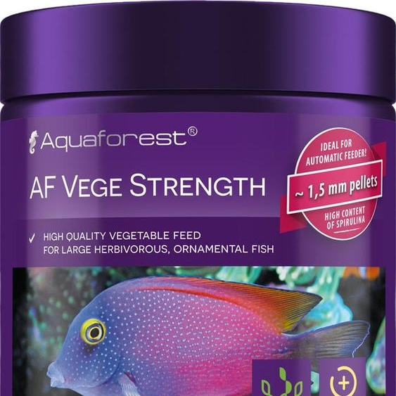 Autres accessoires pour aquarium Aquaforest