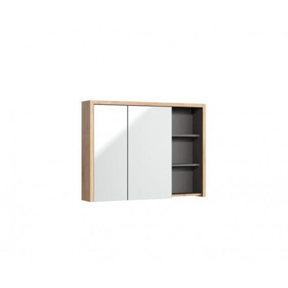 Autres meubles salle de bain - Armoire miroir mural - 100 x 18 x 75 cm - Devon Gris