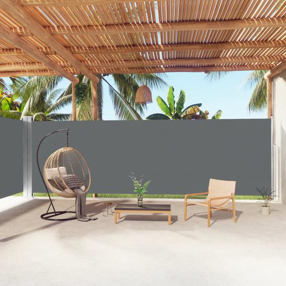 Auvent latéral rétractable Anthracite 200x1000 cm