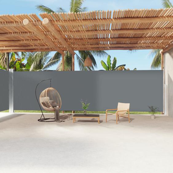 Auvent latéral rétractable Anthracite 220x1200 cm