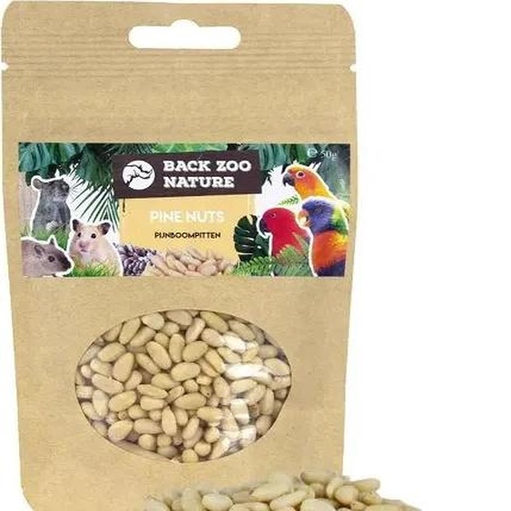 Back Zoo Nature - Pignons de pin pour perroquets 50g