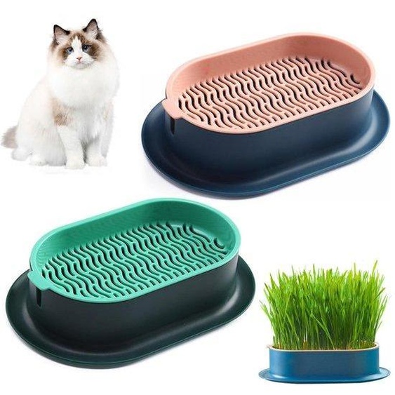 Bacs de culture Ibenzoa® pour la germination de lherbe à chat et des graines, lot de 2 – plastique de qualité alimentaire, 18,9 x 12,3 x 4,5 cm, bleu indigo et vert foncé