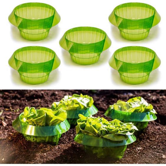 Bague de plantes Protection i entonnoirs Anti-limaces (5 pièces) i Clôture Salade i Protection Anti-limaces i Cloche à Salade i Col en Plastique i