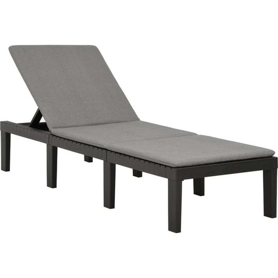 Bain de soleil avec support Plastique Anthracite