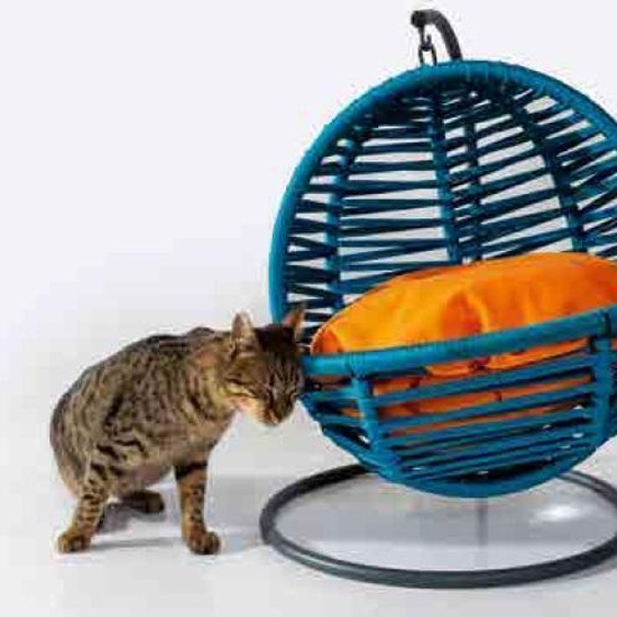 Blaue Rundschaukel Katzenliege Tieren Zubehör Luxus Moderne Möbel