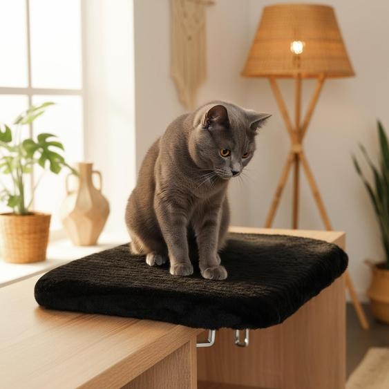 Banc de fenêtre pour chat Belviona, confortable et peu encombrant, avec rembourrage en peluche et serre-joints, montage sans perçage, 35 x 50 cm, noir