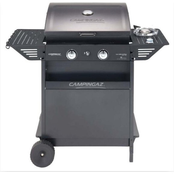 Barbecue à gaz sur roulettes avec 2 brûleurs en acier et réchaud latéral XPERT 200 LS PLUS