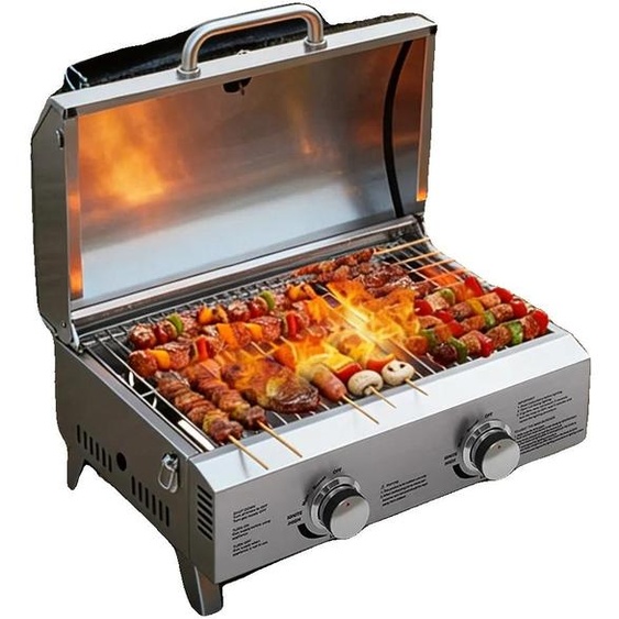 Barbecue au gaz, en acier inoxydable, avec 2 brûleurs réglables, allumage piézoélectrique, grande surface de cuisson, design pliable