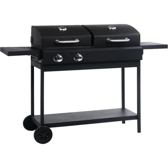Barbecue simple à gaz et à charbon de bois avec 2 brûleurs - Barbecue à gaz FR3158686 1parcel