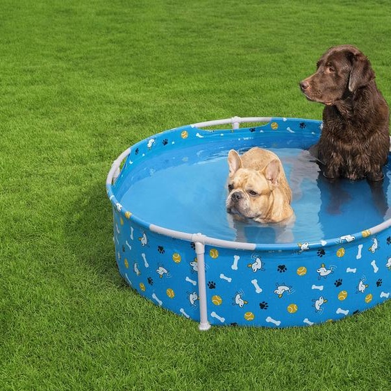 Bassin pour animaux de compagnie BESTWAY 561KM 122x30,5 cm
