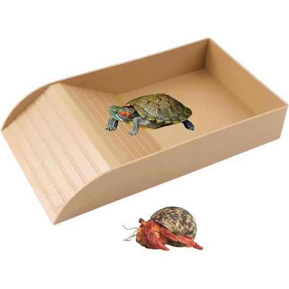 Bassin pour reptiles avec rampe antidérapante, dimensions 35,5 x 20 x 6 cm, idéal pour les tortues
