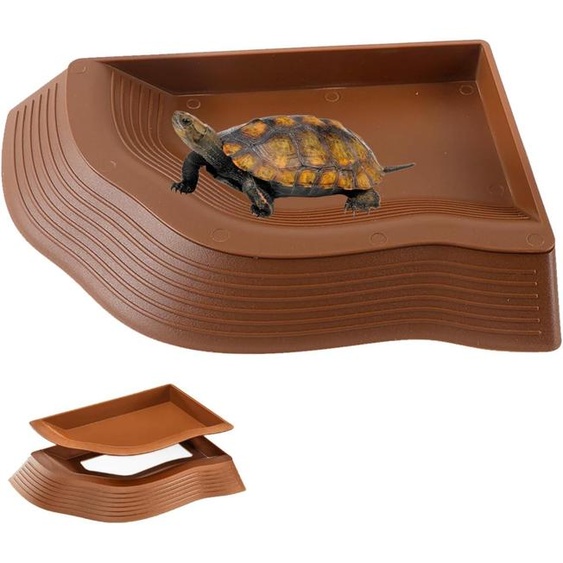 Bassin pour tortues et petits reptiles, avec bordure inclinée, amovible, pour terrariums