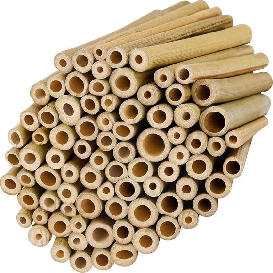 Bâtons de bambou (100 pièces) - Remplissage naturel pour hôtel à insectes - L10 x l09 cm - Hôtel à abeilles sauvages solide et durable - Support à tomates pour plantes de jardin Hobby