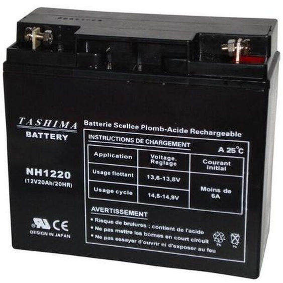 Batterie 12v 20a