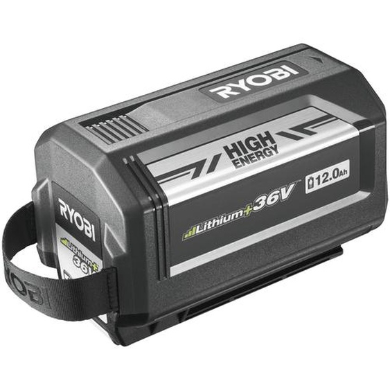 Batterie 36V MAX POWER High Energy 12,0 Ah