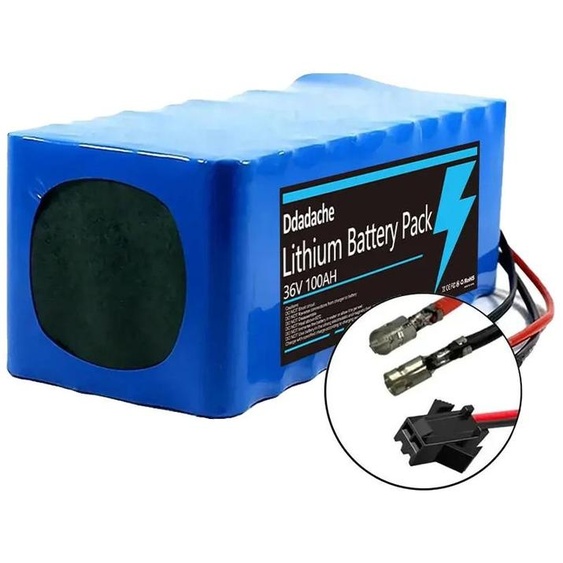 Batterie lithium-ion, capacité de 100 Ah, protection BMS, connecteur Bullet-SM