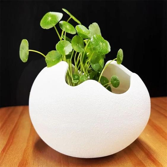 BenRussell Coquilles demoufs Cassées en Céramique, Pot de Fleurs Simple, Conteneur de Plantes Succulentes, user inière Verte, Petits Pots Bonsaï, Décoration de la Maison, 7x9cm