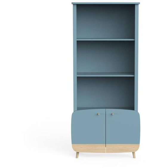 Bibliothèque 2 Tablettes Et 2 Portes Bleu