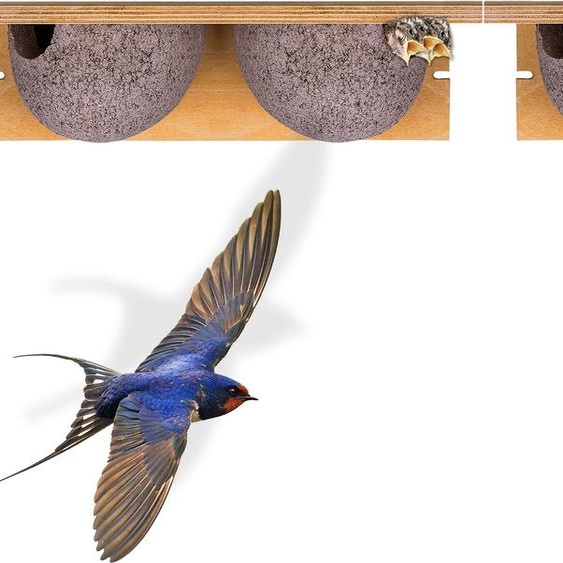 BigDean - Lot de 2 nichoirs pour hirondelles, double nid, nid dhirondelle, nid dhirondelle de fenêtre, nichoir, aide à la nidification, hirondelles, béton de bois