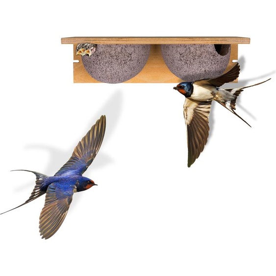 BigDean Nichoir pour hirondelles à double nid, nid dhirondelle, nid dhirondelle de fenêtre, nichoir, aide à la nidification, hirondelles, béton de bois