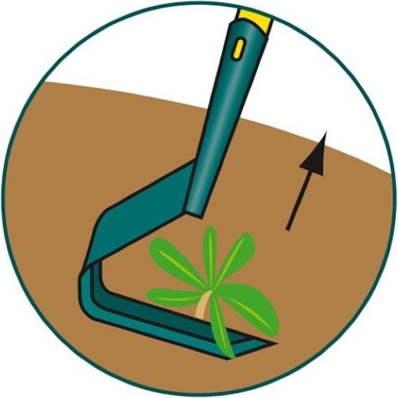 Binette lame V Naturovert - manche bois 150cm PEFC 100% + poignée