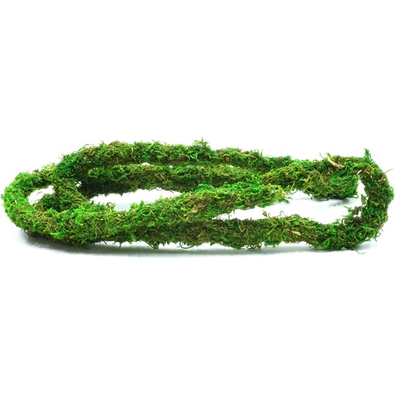 BioBranch Green Moss Liane avec mousse 200 x 2 cm pour modeler les terrariums