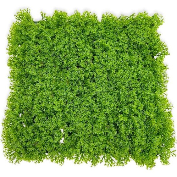 BioPlant Fond Tapis artificiel Fond modulaire pour terrarium Light Lichen 25x25cm