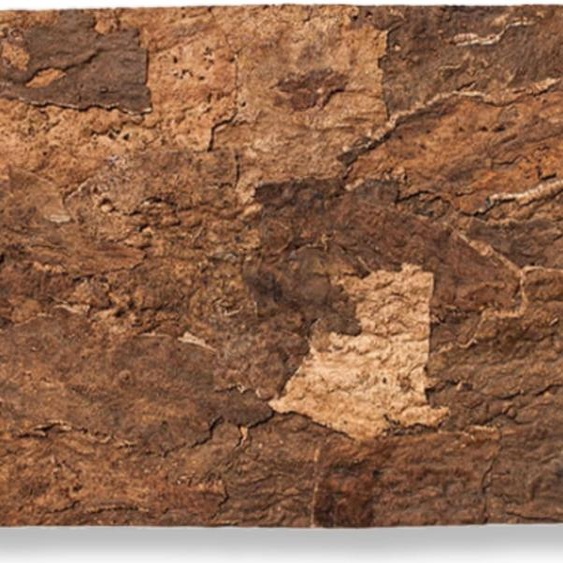 BioVirgin Cork Background Brown 30x20cm Fond en liège pour terrariums