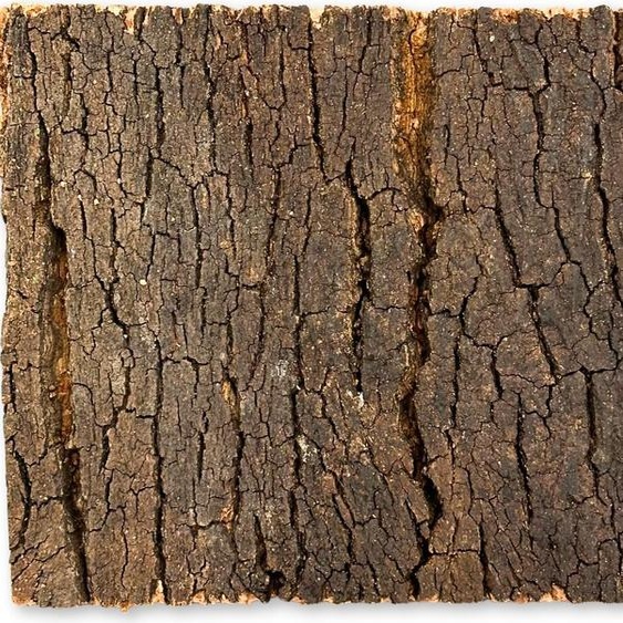 BioVirgin Cork Background Dark 30x20cm Fond en liège pour terrariums