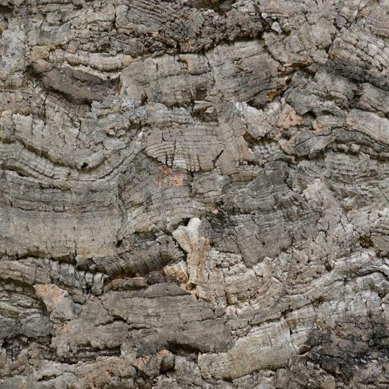 BioVirgin Cork Background Grey 60x30cm Fond en liège pour terrariums