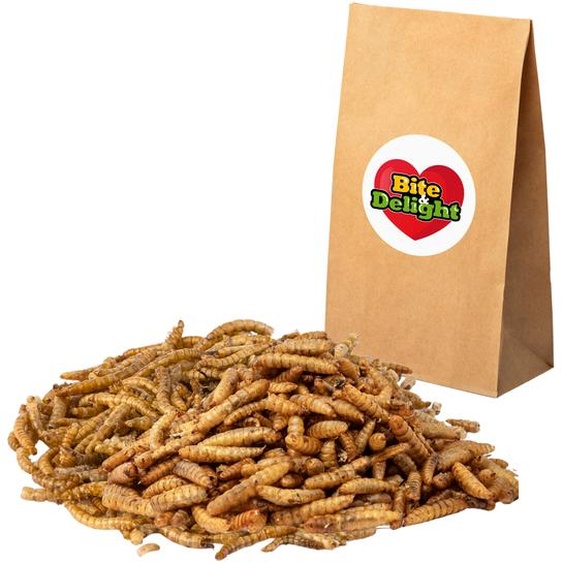 Bite&Delight Larves séchées de mouche soldat noire 1kg / 1000g - Source naturelle de protéines pour la volaille, les oiseaux sauvages, les reptiles et les petits animaux
