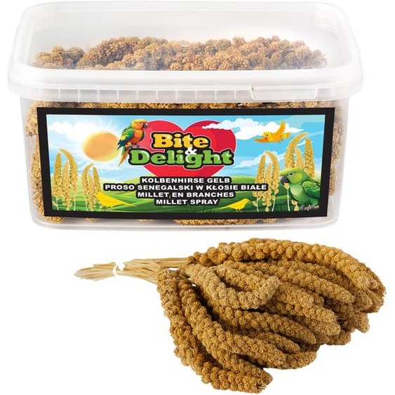 Bite&Delight - Millet blanc du Sénégal 500g en épis - Friandise naturelle pour perroquets, oiseaux dornement & oiseaux sauvages, riche en fibres & en éléments nutritifs