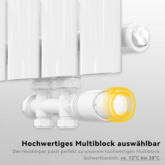 Bloc de robinetterie Vanne thermostatique Multiblock Set Radiateur Raccord central Blanc - Sonni