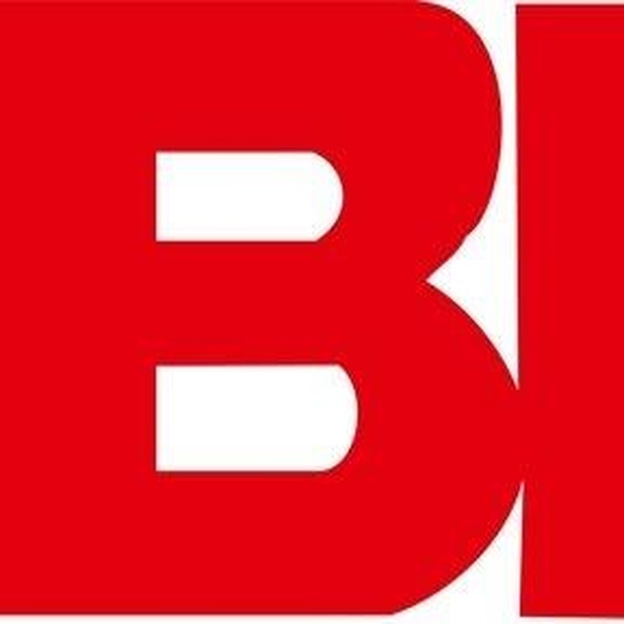 BMI Niveau à bulle Eurostar 50cm Aluminium - 690050E