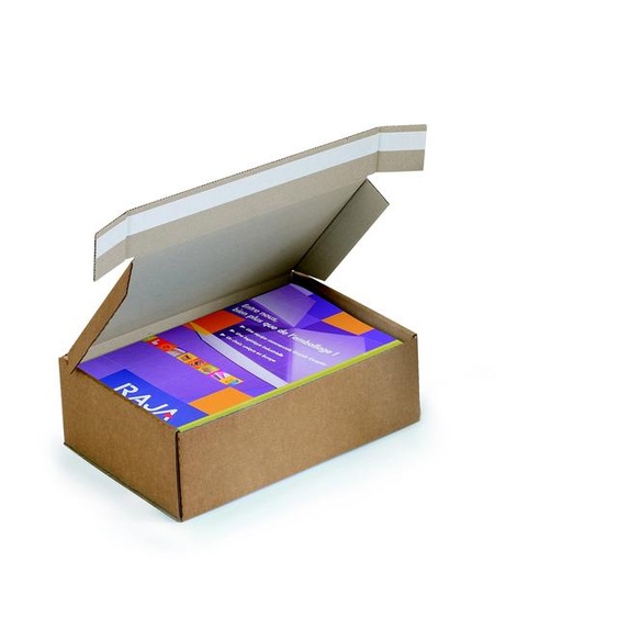 Boîte avec fermeture adhésive en carton simple cannelure brun - L.31 x l.22 x H.15 cm - Lot de 20