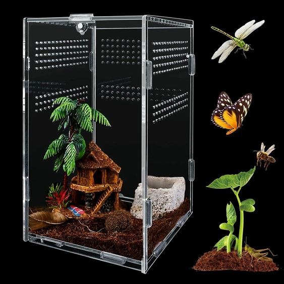 Boîte dalimentation pour insectes, en acrylique transparent, dimensions 12 x 12 x 20 cm, pour lélevage de reptiles