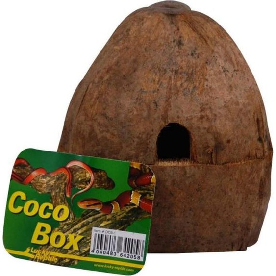 Boîte de coco Lucky Reptile