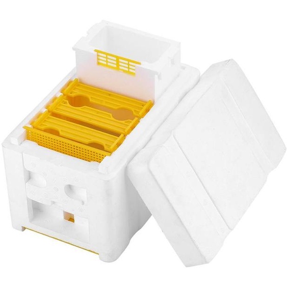Boîte de pollinisation pour ruches miniatures, dimensions : 24 x 14,8 x 16,5 cm