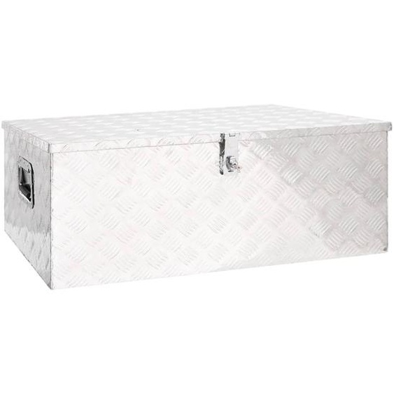 Boîte de rangement Argenté 100x55x37 cm Aluminium
