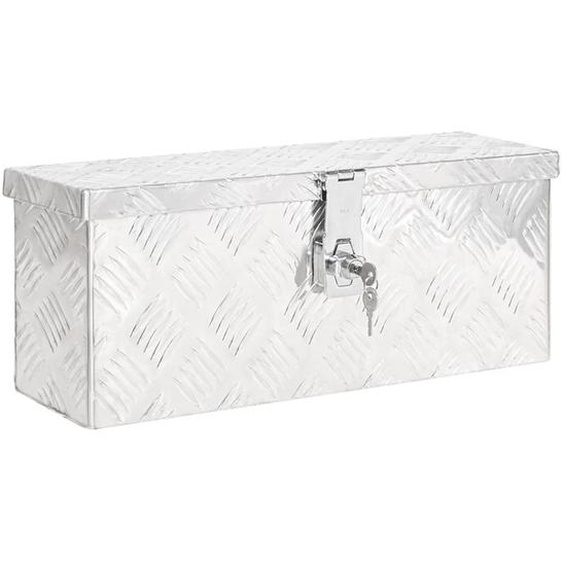 Boîte de rangement Argenté 50x15x20,5 cm Aluminium